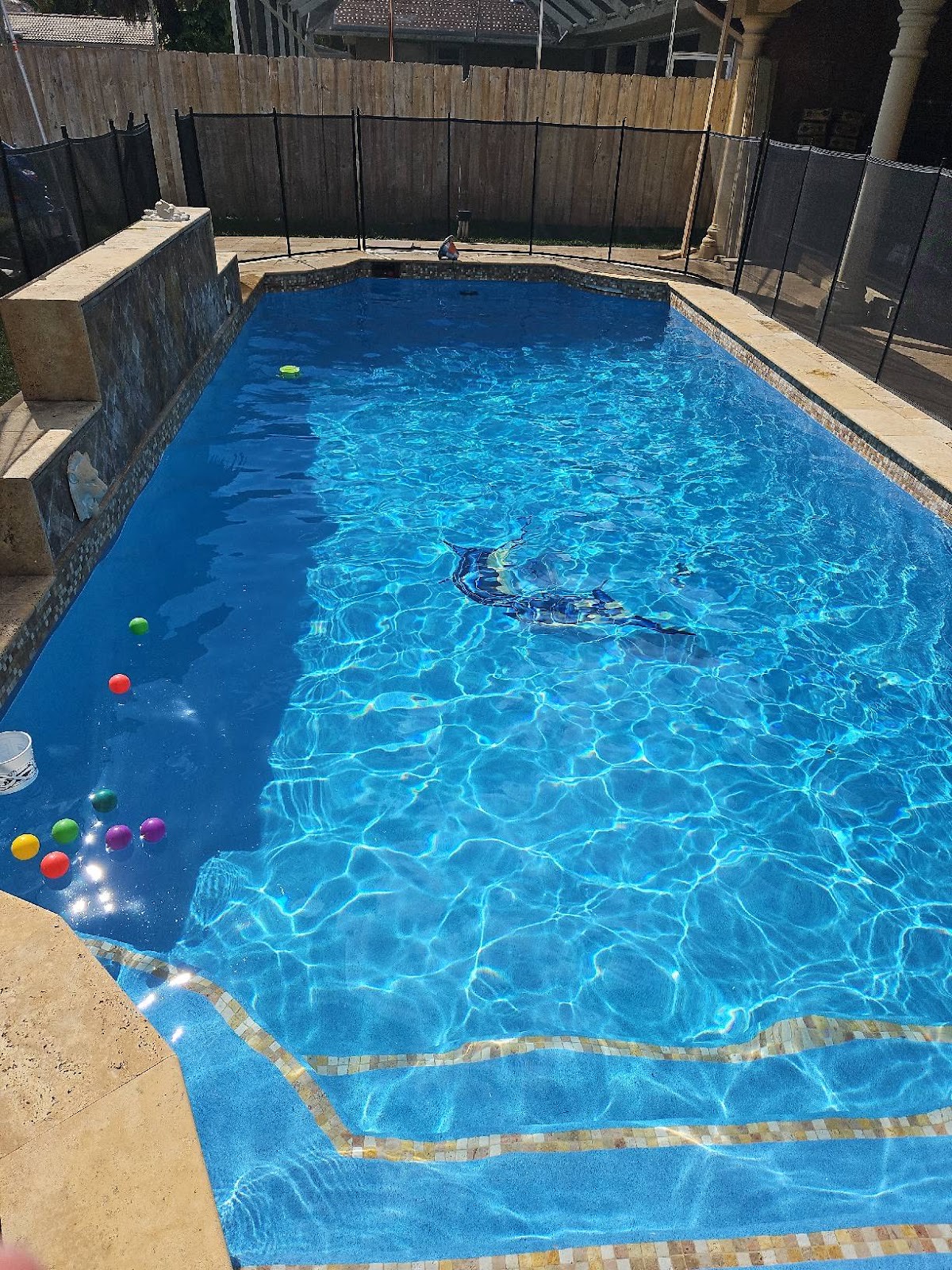A clean, safely fenced residential pool serviced by Blue Ocean Pool & Spa