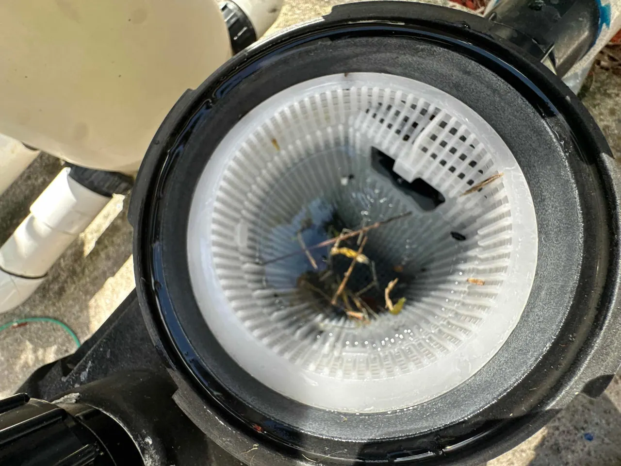 A pump basket with leaves and debris caught in it