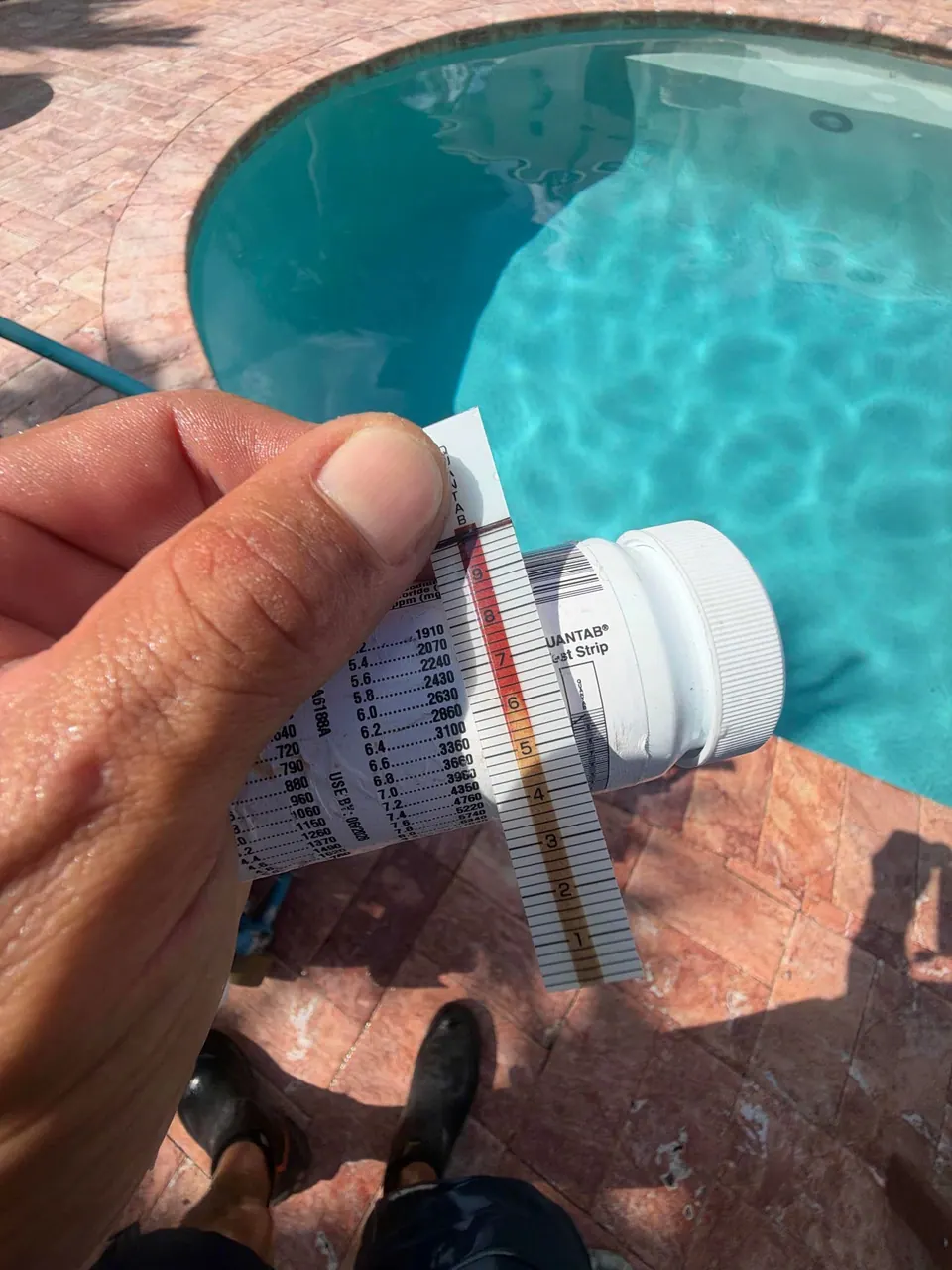 A technician reading a salt test strip beside the pool