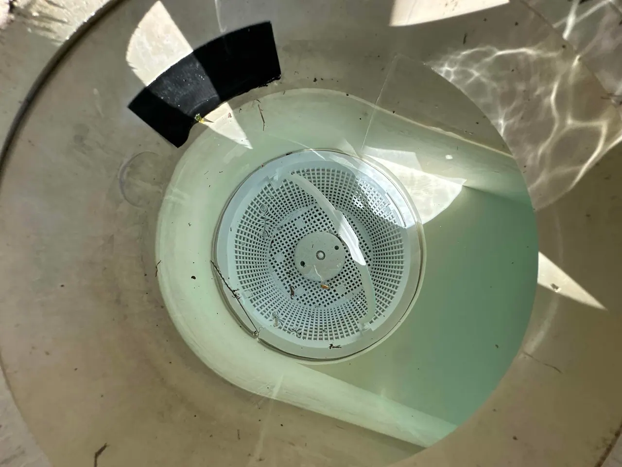 Looking down into a skimmer with a clean basket in place